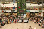 IMG_0045.jpg